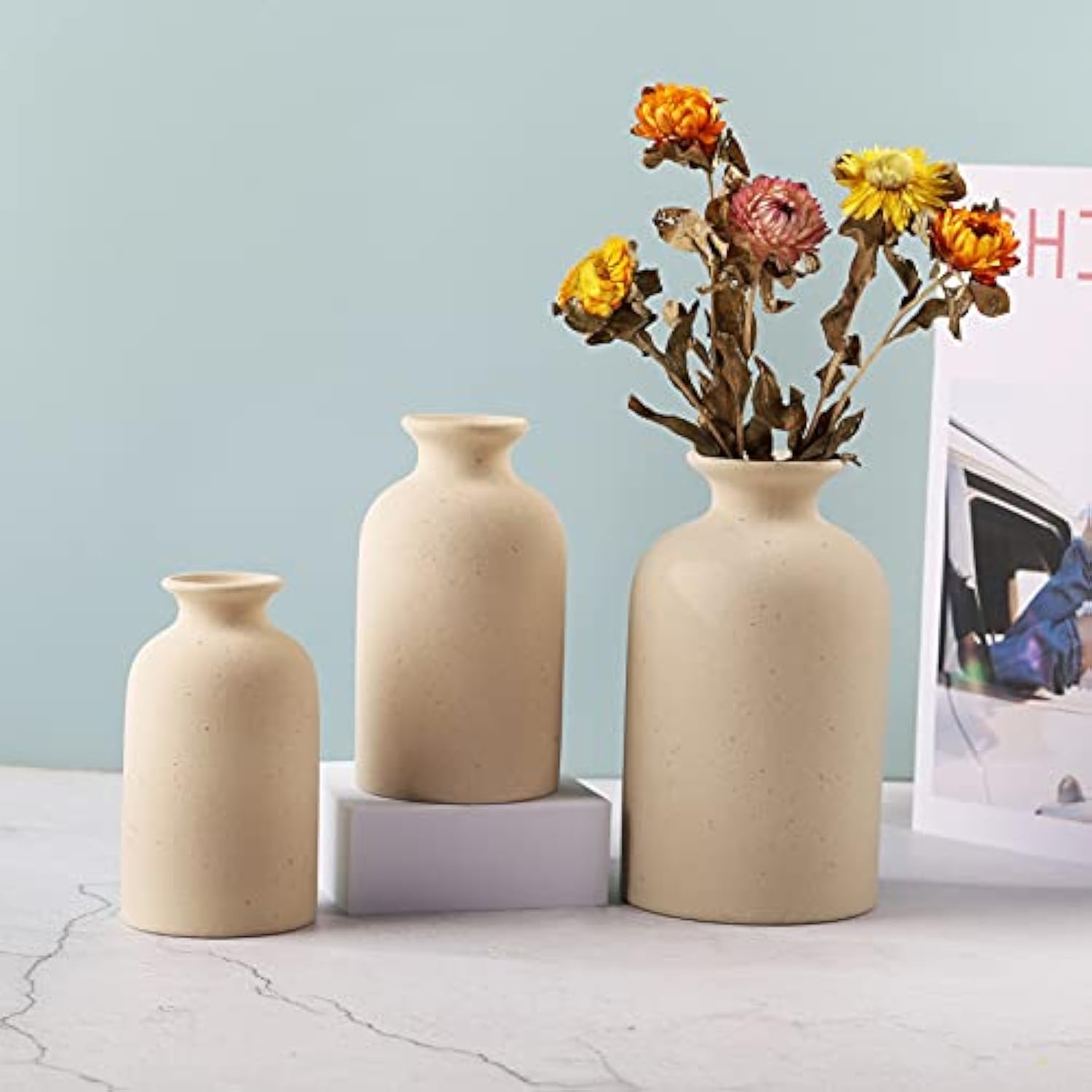Dry Flower Ceramic Vases