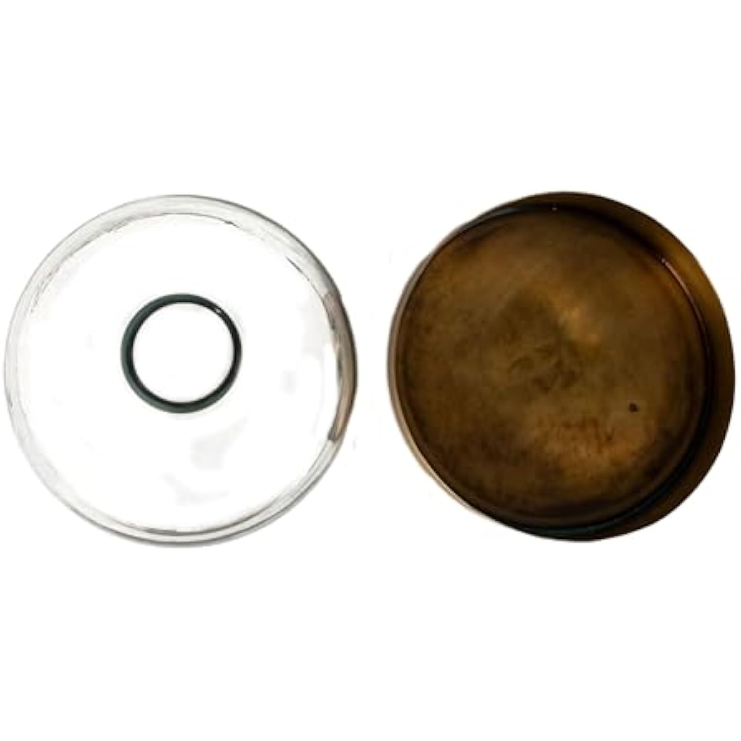 Sophisticated Glass Cloche with Metal Tray