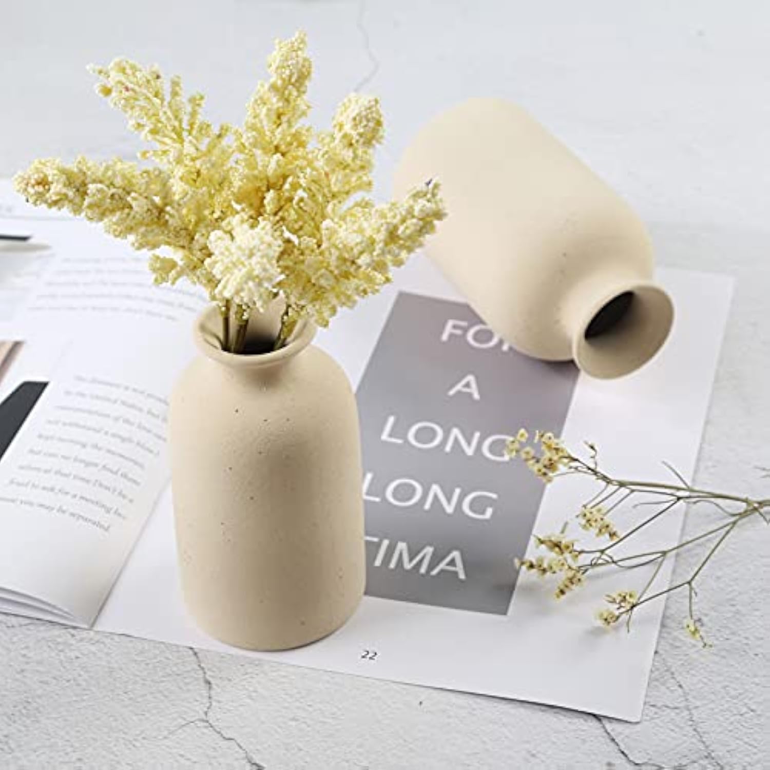 Dry Flower Ceramic Vases